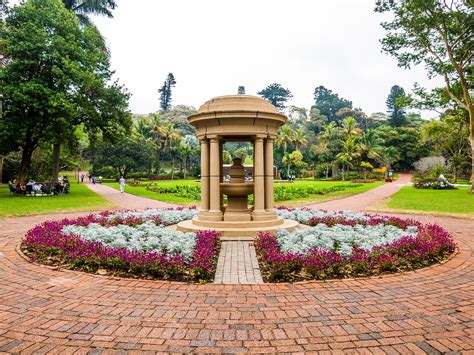  Durban Botanic Gardens: 緑あふれる楽園で南アフリカの植物たちと触れ合おう！